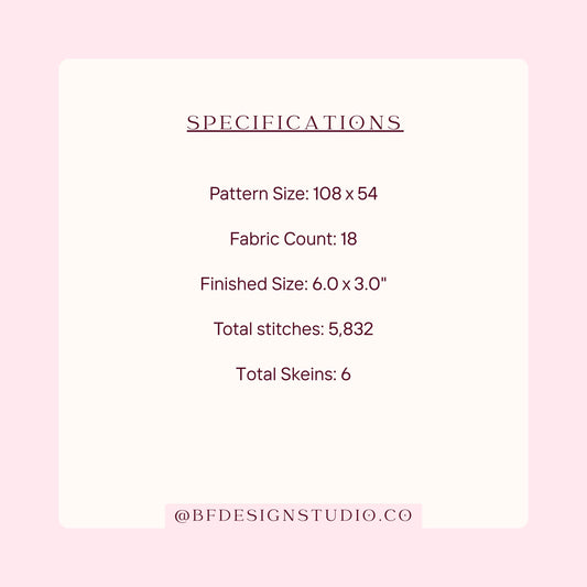 Retro Sunglasses Case - Needlepoint Chart - 18 Mesh - 6 x 3" - Instant Download - Beginner Friendly